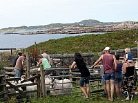 3753_059.JPG