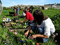 3753_DSCN9510.JPG
